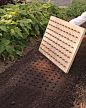 easy seed planting