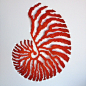 叶脉刺绣:澳洲的艺术家Meredith Woolnough有特别的刺绣技巧，她在特制的大幅布面上缝纫刺绣，这种底布在水中会消融不见，只留下刺绣的纹理。这个过程很像自然界中树叶或者珊瑚的生长和衰老，这也是艺术家多年收集枯叶的过程得到的启发，并由此提炼出表达的设计概念：皮不存，骨仍美。 #刺绣# #手工#