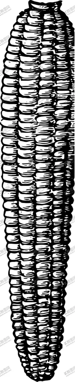 手绘蔬菜 【酷图网】蔬菜,菜园,3D,插画,食材,菜,玉米,胡萝卜,西红柿,牛油果,南瓜,黄瓜,洋葱,包菜,西兰花,餐饮,果蔬,餐饮美食,手绘蔬菜,手绘蔬菜素材,蔬菜绘画,蔬菜素,材,蔬菜元素,