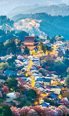 小麦大米采集到风景