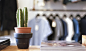 A cactus in a pot next to a pile of magazines in a clothes store