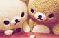 ❀ ______________Rilakkuma。轻松恋上轻松熊。