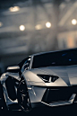 Lamborghini Aventador#跑车#----董子桐花瓣采集