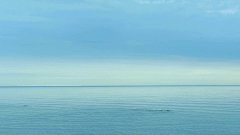 蓝天海洋