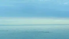 蓝天海洋