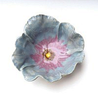 花开花落♪采集到盘子