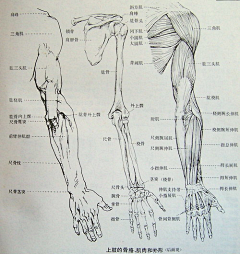 卡片H采集到嗯  要加油 要学习