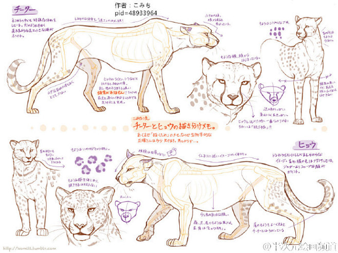 #绘画素材#绘师こみち关于羊、猎豹等动物...