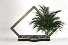 热带花岗岩裙台几何和植物装饰在白色的背景。3d渲染