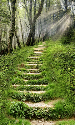 独活的雨天采集到爱，在路上