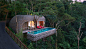 Travel Idea – This Resort Is Surrounded By Trees And Was Inspired By Four F... - 酒店 - 世青会 - WPPY.COM