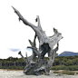 This may contain: an old tree stump sitting on top of a sandy beach
