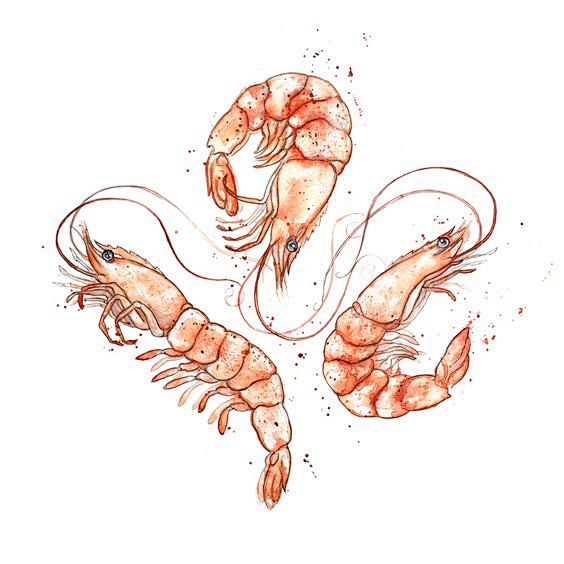 Amy Holliday Illustr...
