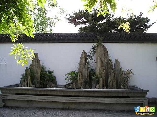 山石盆景_看图_盆景吧_百度贴吧