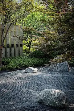 采集图片