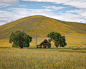 Photography  abandoned Travel western Landscape Nature america summer road trip travel photography