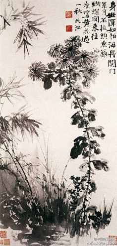 sina.com.cn清"扬州八怪"之郑板桥传世名画非飞非飞采集到画采集qing