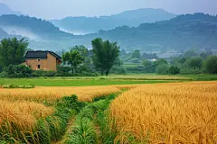 乡村田园自然风景壁纸