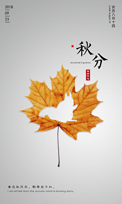 文文文二采集到节日海报&传统节日&节日创意