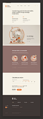 Oasis / Design & animation by Mike | Creative Mints on Dribbble