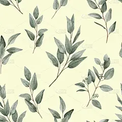 水彩无缝模式与桉树树枝在一个轻的背景。树叶，绿叶，桉树叶。用于纺织品、墙纸、请柬、问候。