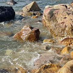 凝子辰*采集到风景