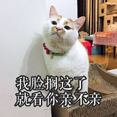 小淘呀采集到表情包