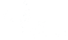 FEIFEILLL采集到水