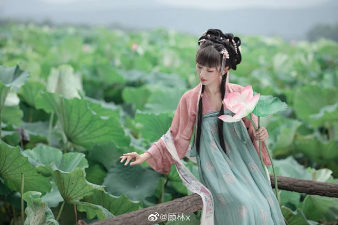 莲叶何田田 -花瓣网