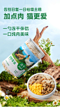宽福冻干猫零食鸡肉碎幼猫鸡胸肉猫咪冻干桶宠物狗拌粮磨牙鸡肉粒-tmall.com天猫
