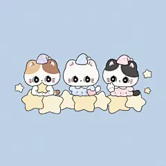 晚安小猫 - 小红书