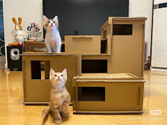 PassengerT采集到小猫的房子