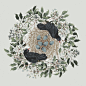 Blackbirds : A series of self initiated hand painted illustrations of blackbirds and intertwining floiage.
