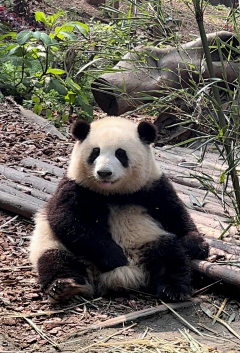 用户AUXSJqZ5采集到待归类采集
