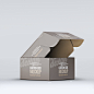 瓦楞纸箱快递食物纸盒包装外观展示效果VI智能贴图 PS样机 (44)