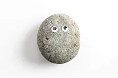 点击来源直接获取大图文件 |Pet Rock