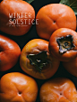 winter solstice : 静物摄影