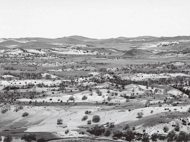 塞罕坝机械林场建场初期