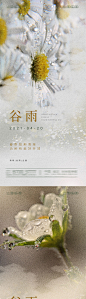 【源文件下载】 海报 二十四节气 谷雨 花朵 邹菊 408749
