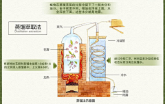 PathfinerBan采集到J-精油