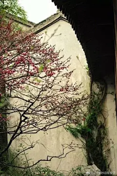 如果让我用一句话来形容宋朝，那就是“文雅的宋”。南宋词人汪元量这样描写宋朝在临安城的最后一个元宵：“一片风流，今夕与谁同乐？月台花馆，慨尘埃漠漠。豪华荡尽，只有青山如洛。钱塘依旧，潮生潮落。万点灯光，羞照舞钿歌箔。玉梅消瘦，恨东皇命薄。昭君泪流，手撚琵琶弦索。离愁聊寄，画楼哀角。”3天后，正月18日，谢太后携玉玺及百官降元，南宋百年国祚终结。两宋享国祚320年，比唐朝还要多几十年。

宋朝真是风雅而又伟大的朝代。不仅出了宋仁宗，宋孝宗这样贤明的皇帝，还出了王安石，司马光，范仲淹等著名的贤臣。至于文人骚客，