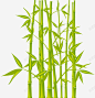 绿色竹子矢量图 创意素材