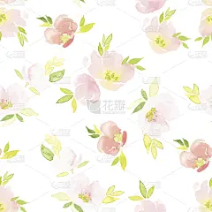 花纹,水彩画,形状,纺织品,无人,绘画插图,计算机制图,计算机图形学,仅一朵花
