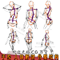 CG绘画 手绘 人体解剖 骨骼结构系列图片素材 279P-淘宝网