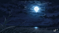 General 1920x1080 night Moon moonlight lake reeds landscape digital art