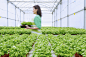 Blurred view of Caucasian woman working in greenhouse by Gable Denims on 500px