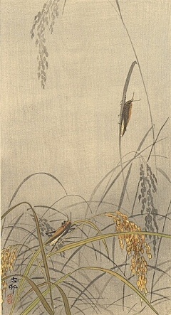 山湖海采集到画