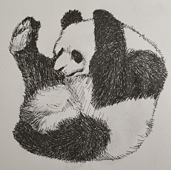 偙濎采集到纯手绘小稿