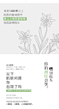 素萃颈膜紧致脖颈纹去黑脖子淡化细纹颈部面膜护理保湿颈霜补水女-tmall.com天猫