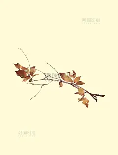 唯美水彩手绘树枝枯枝枯叶手账贴纸